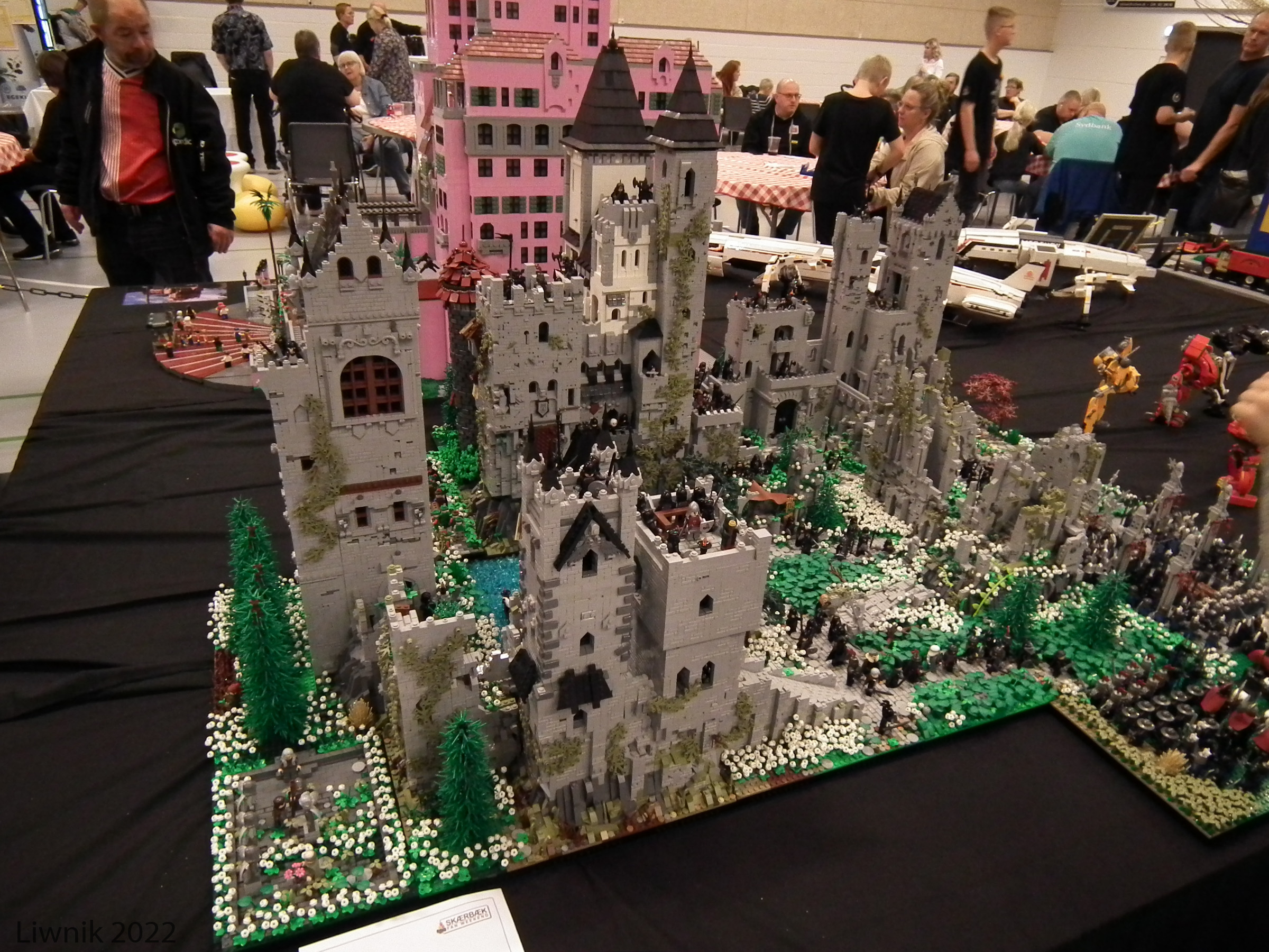 dscf9885cs.jpg