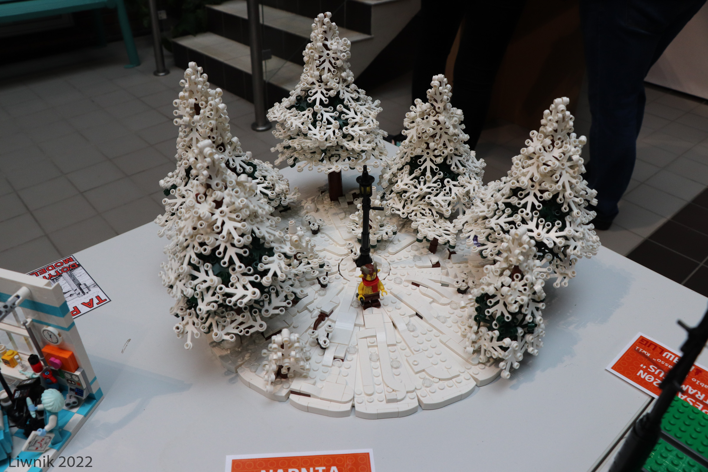 img_9127cs.jpg