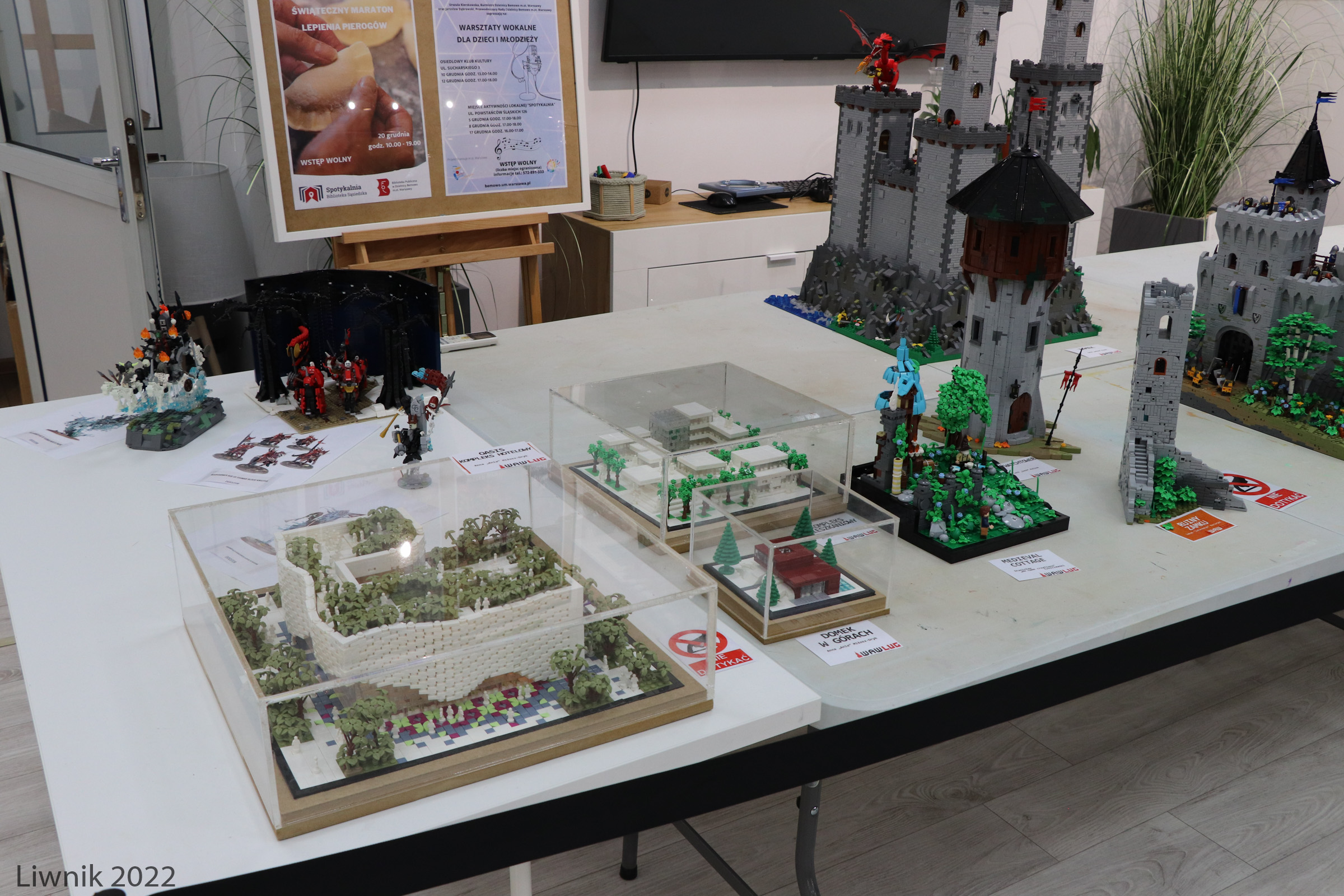 img_9353cs.jpg