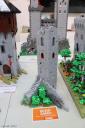 c-img_9552cs.jpg