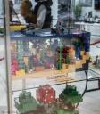 img_0512cs.jpg
