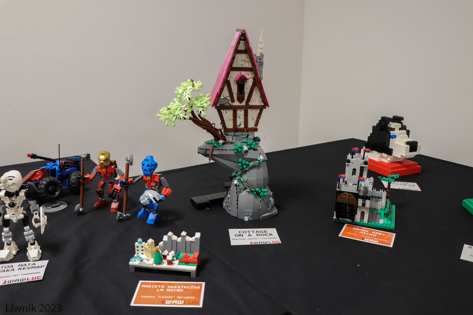 img_1540cs.jpg