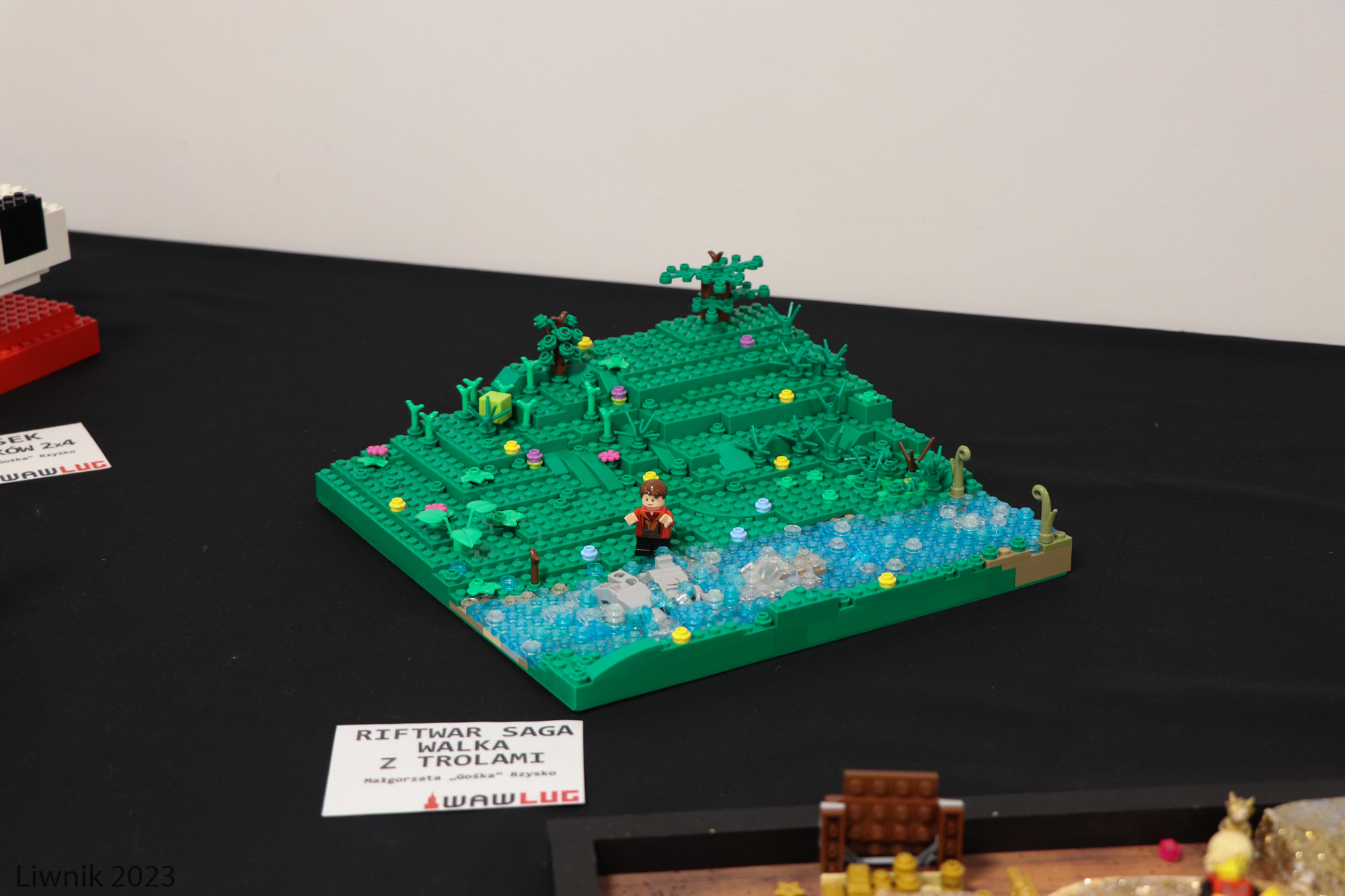 img_1542cs.jpg