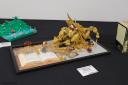 img_1544cs.jpg