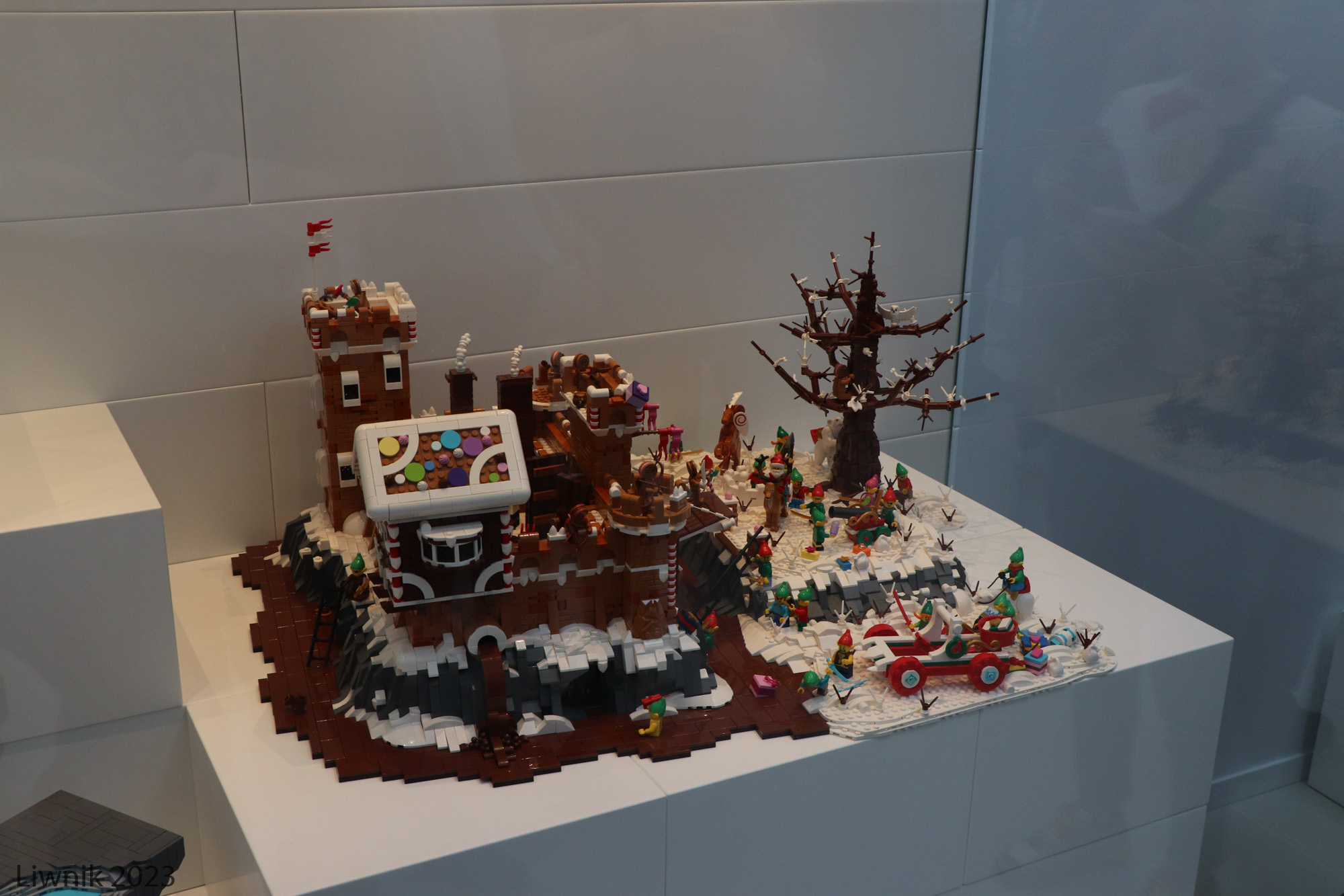 img_5581cs.jpg