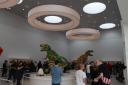 img_5544cs.jpg