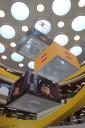 img_6956cs.jpg