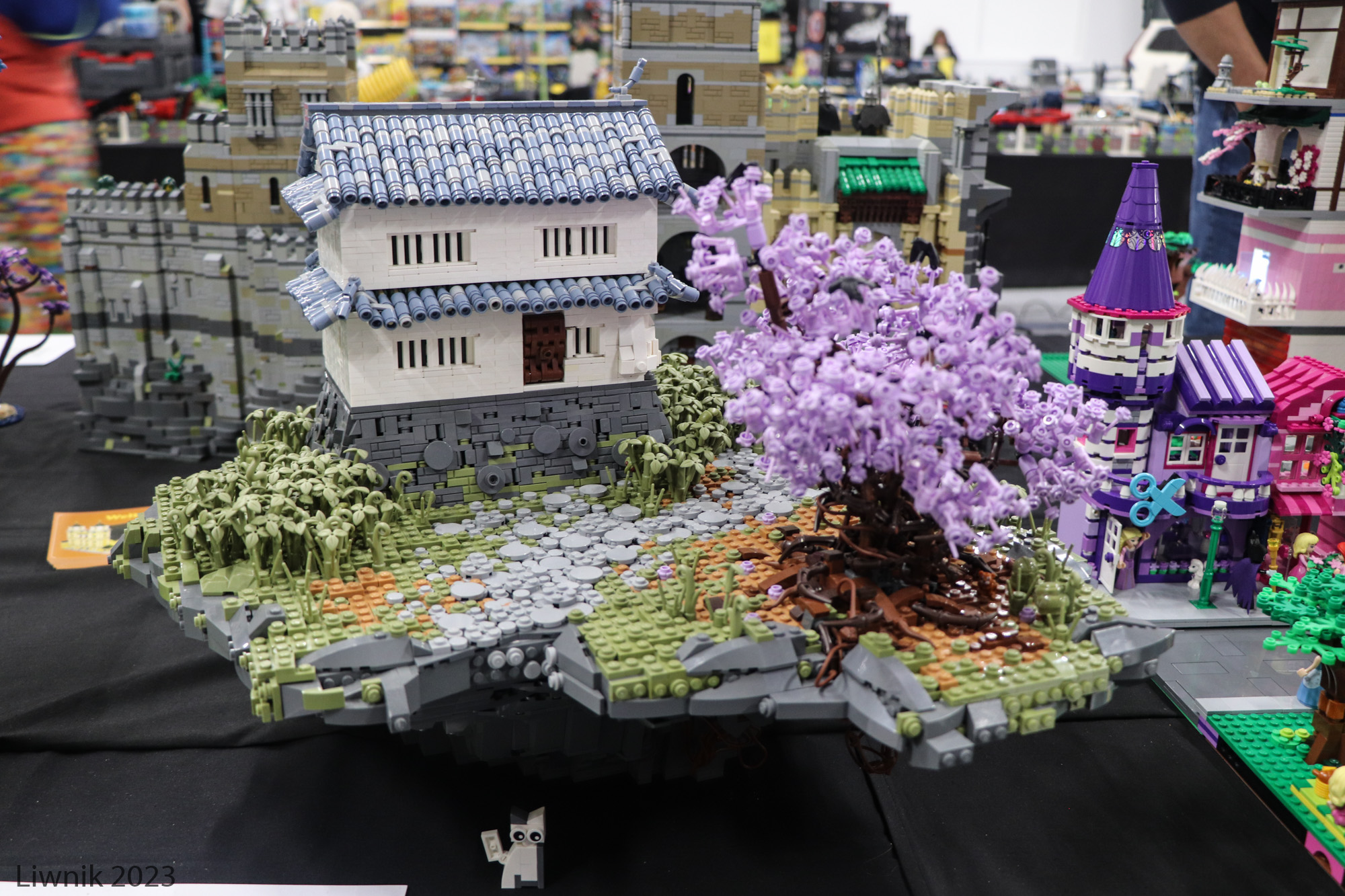 img_6265cs.jpg
