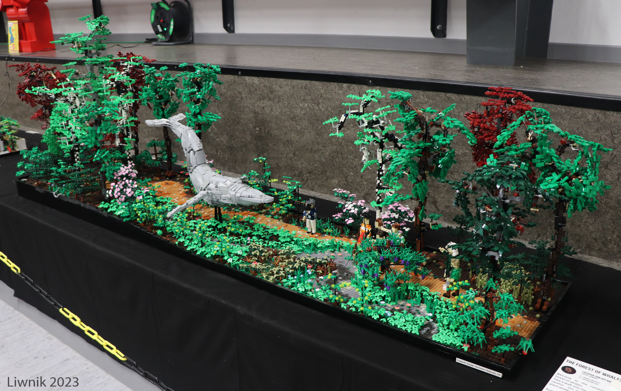 img_6414cs.jpg