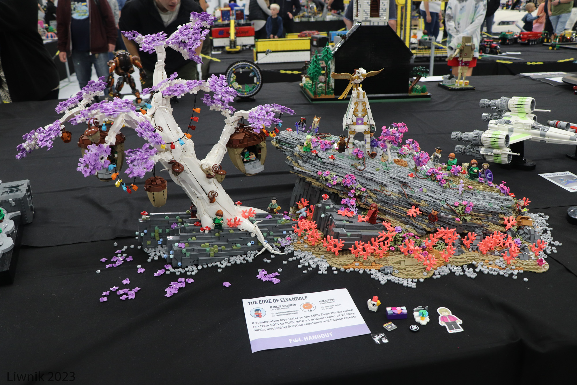 img_6426cs.jpg