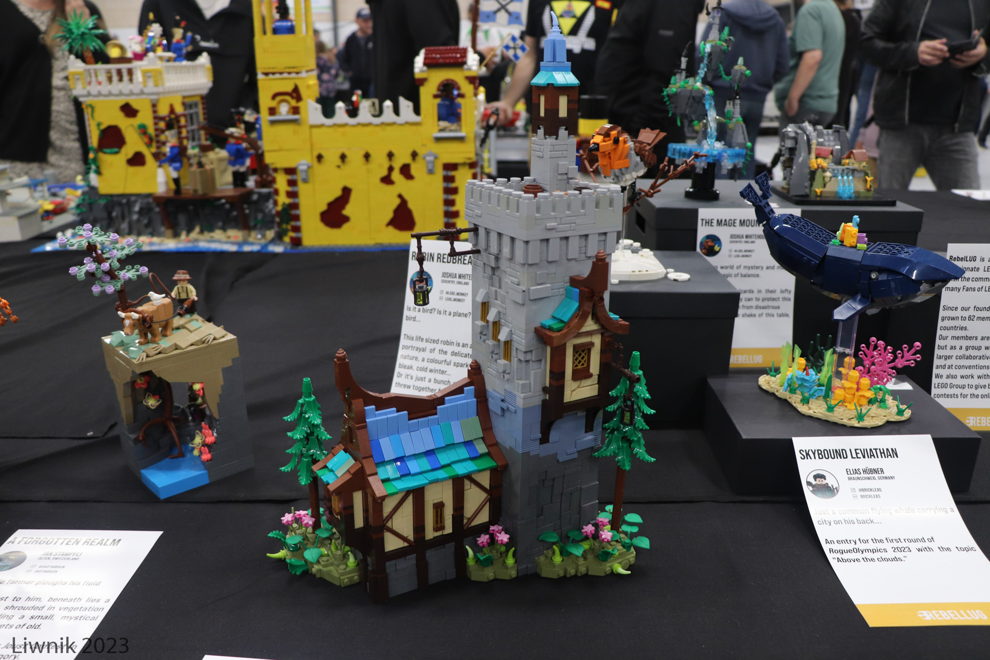img_6454cs.jpg