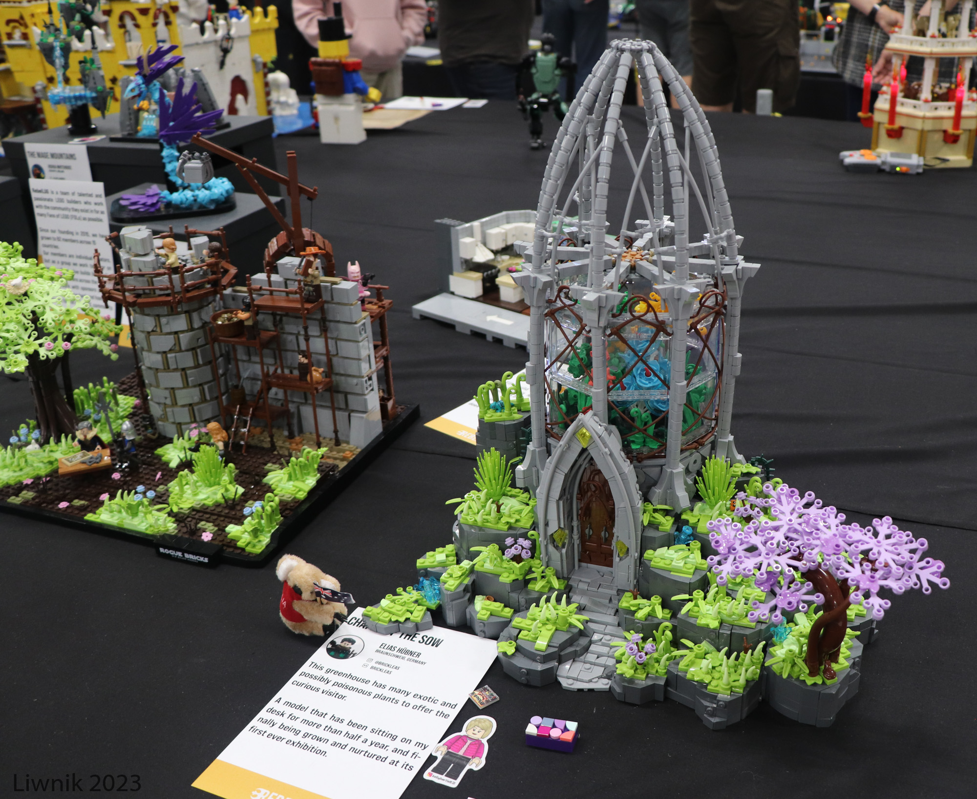 img_6467cs.jpg