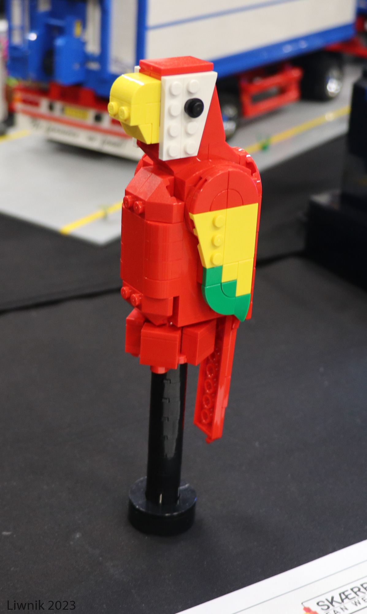 img_6473cs.jpg