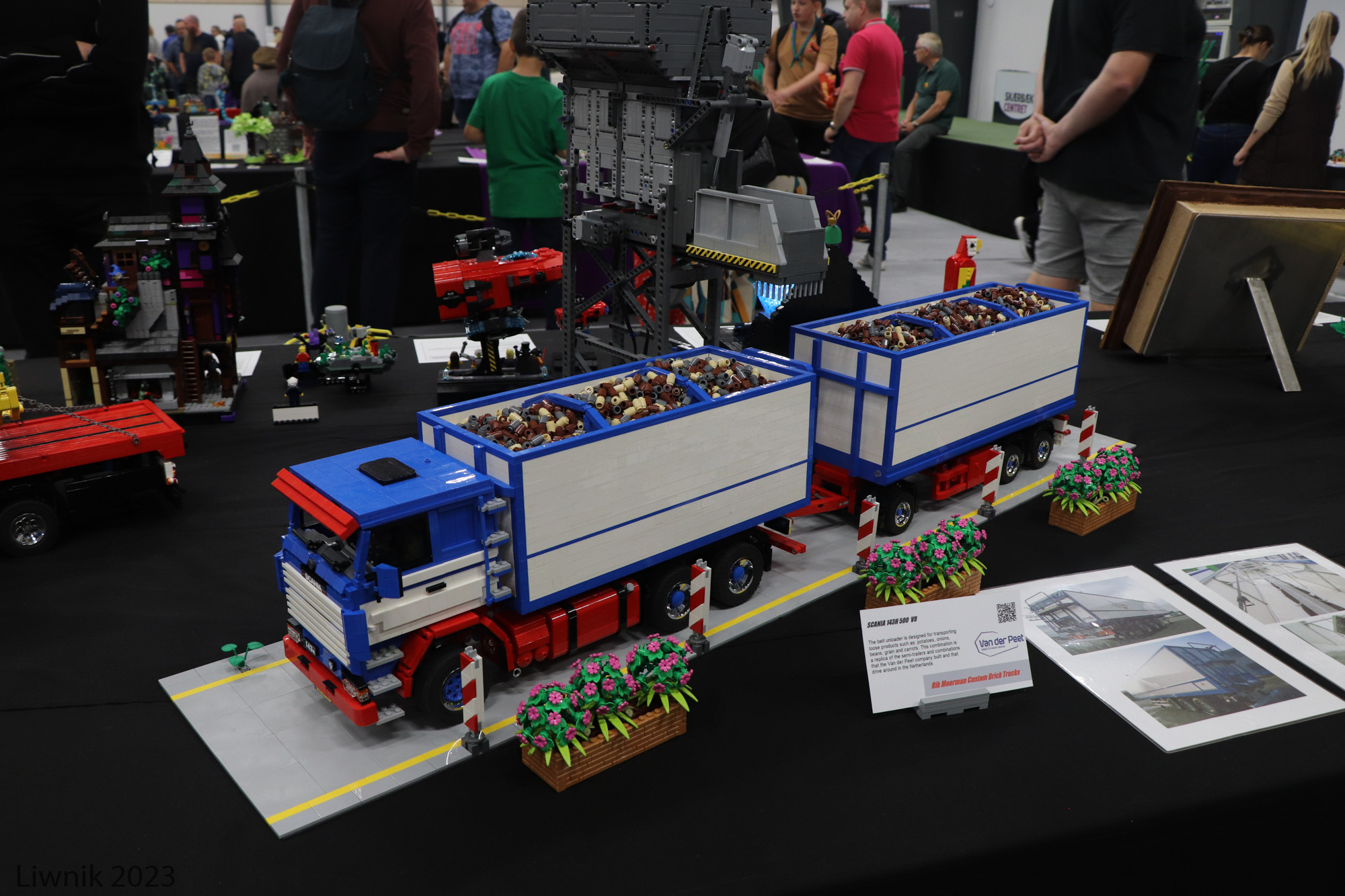 img_6524cs.jpg