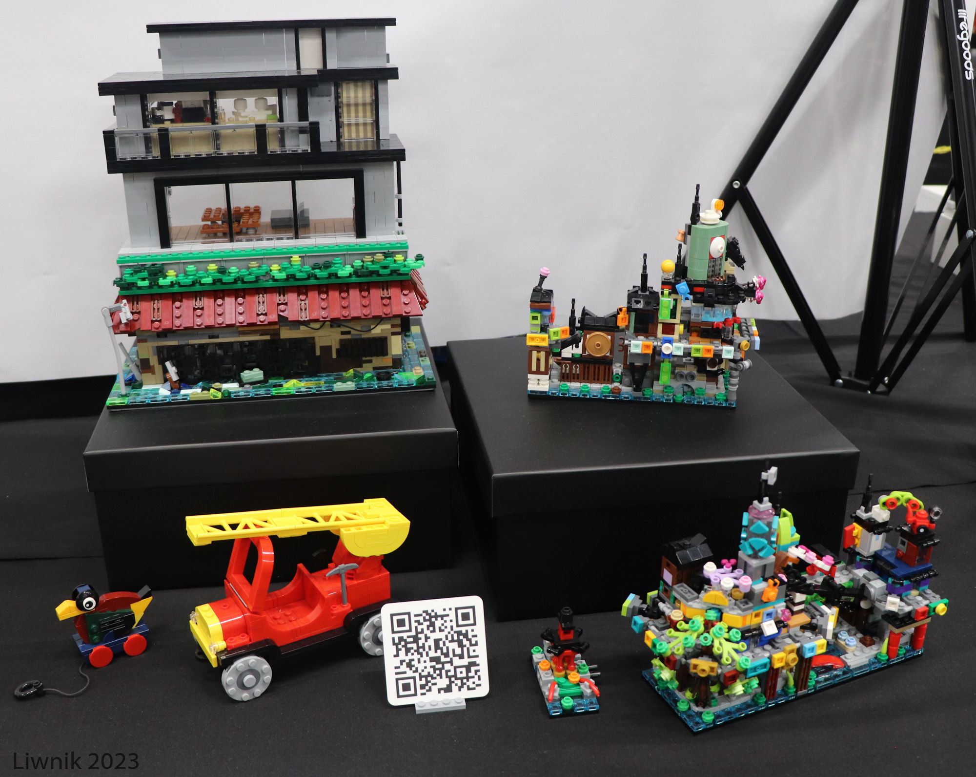 img_6548cs.jpg