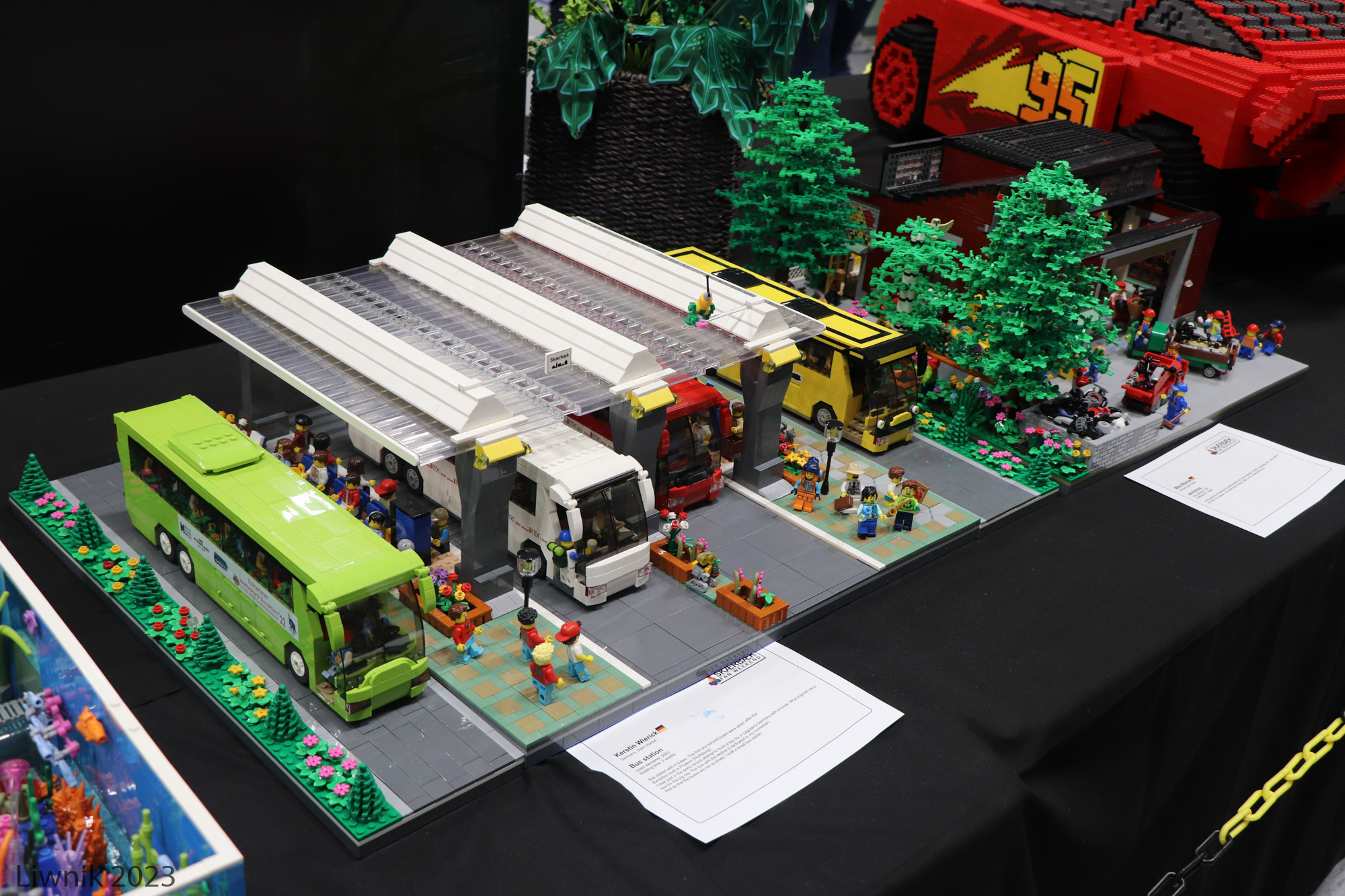 img_6609cs.jpg
