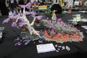 img_6426cs.jpg