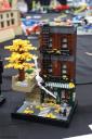 img_6445cs.jpg