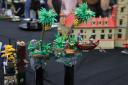 img_6453cs.jpg