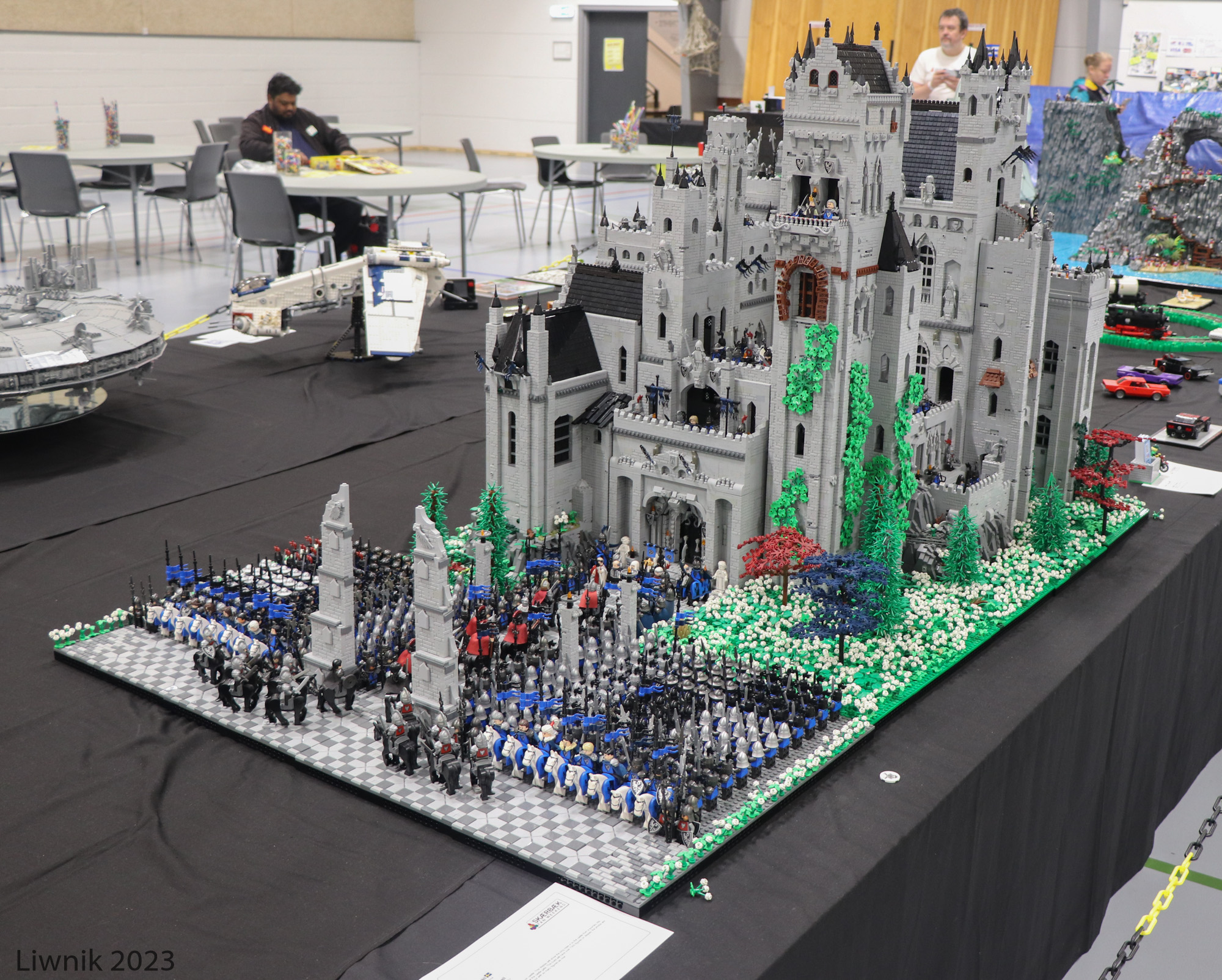 img_5887cs.jpg