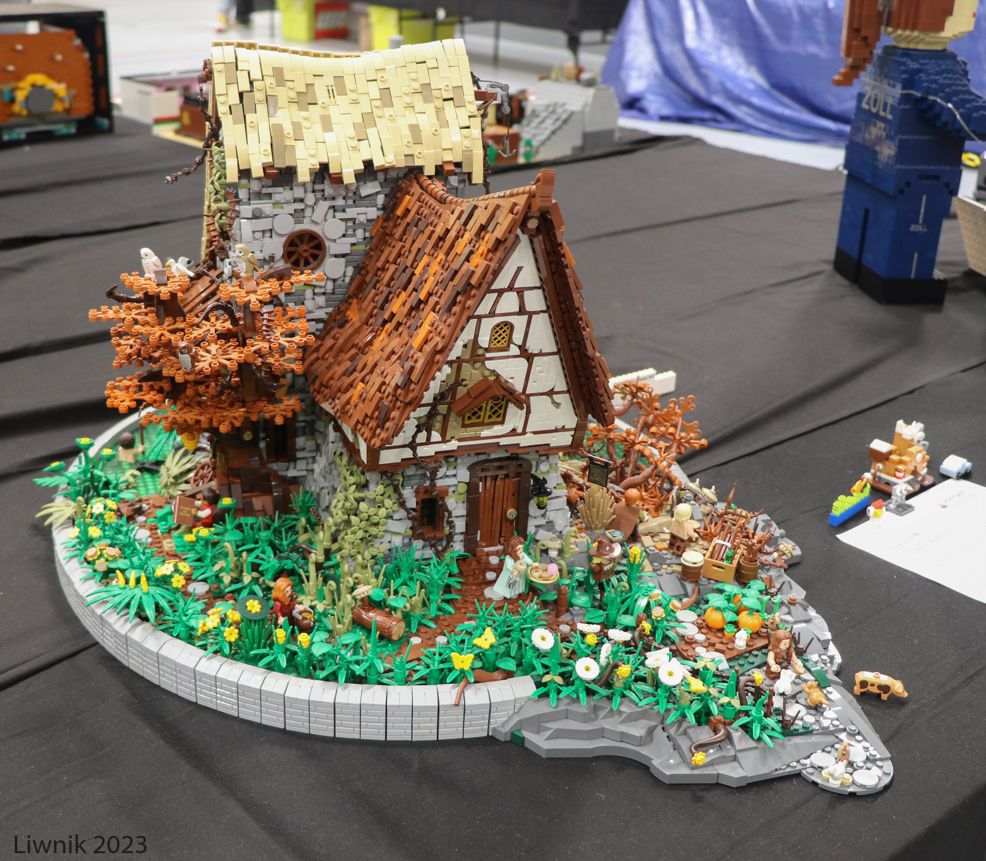 img_5902cs.jpg