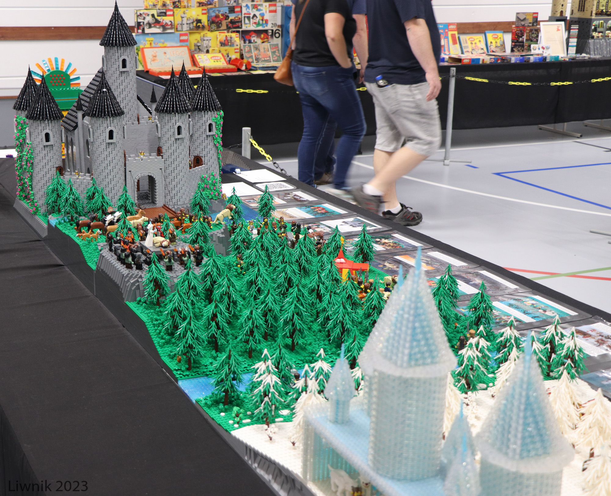 img_5995cs.jpg