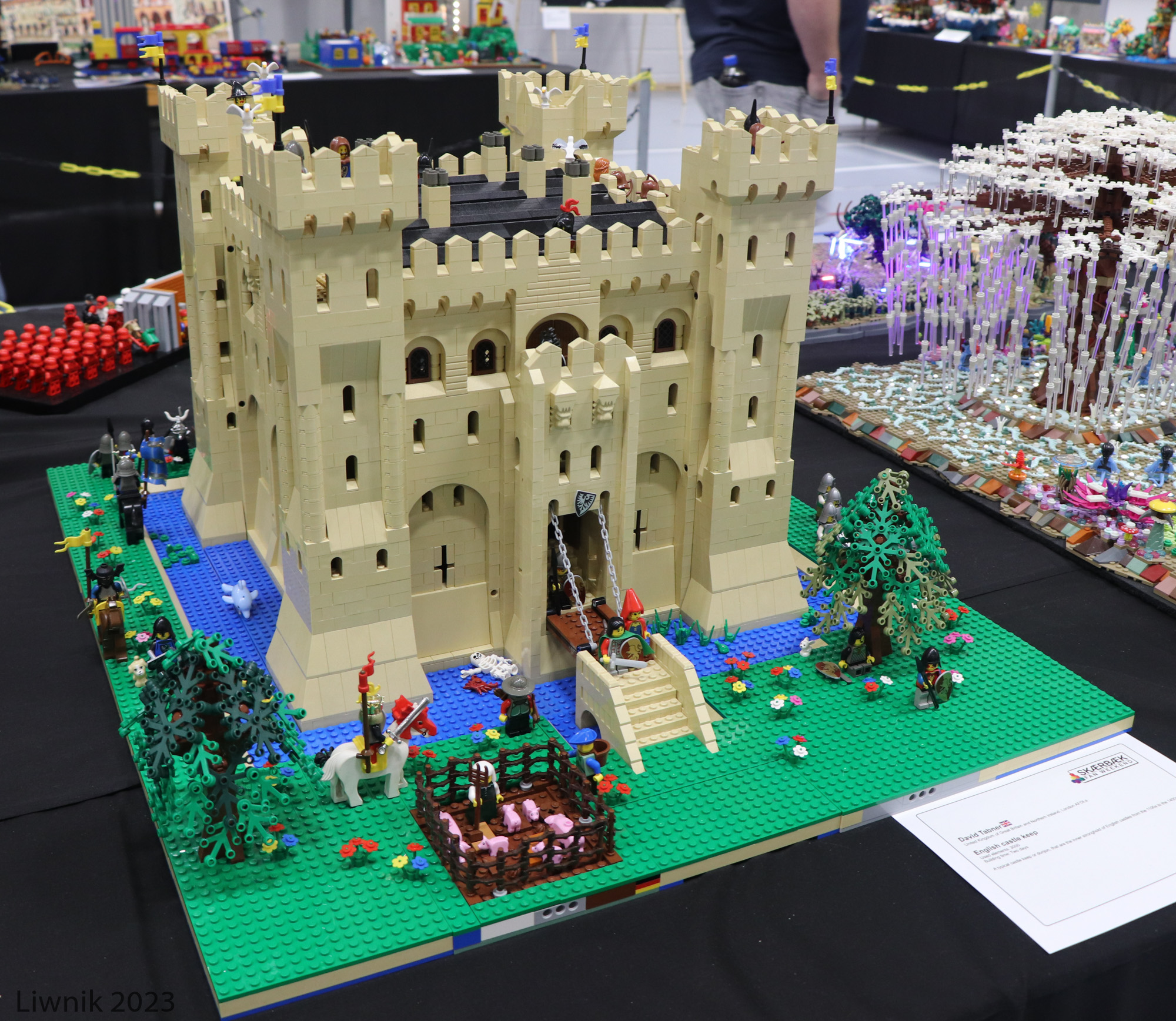 img_6076cs.jpg