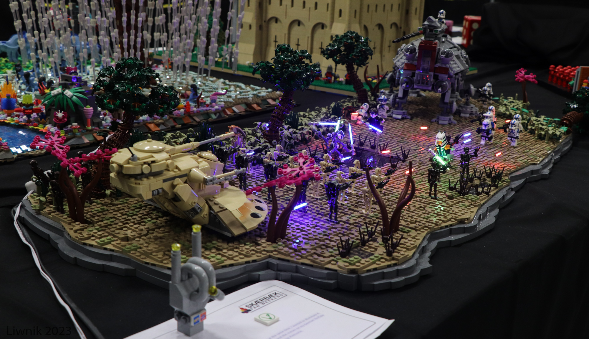 img_6082cs.jpg