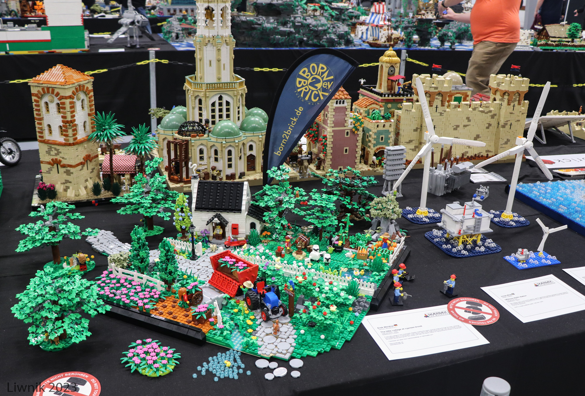 img_6092cs.jpg