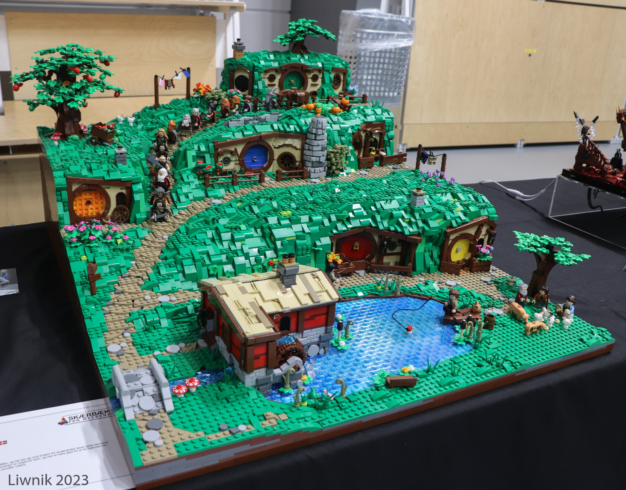 img_6170cs.jpg