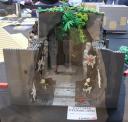 img_8178cs.jpg