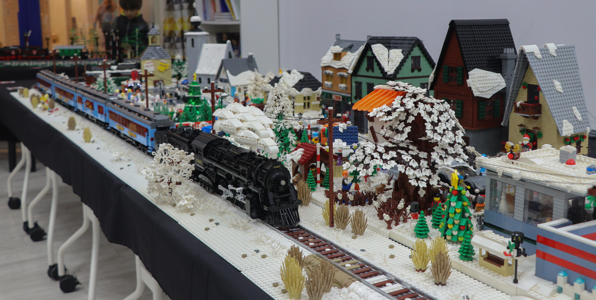 img_8023cs.jpg
