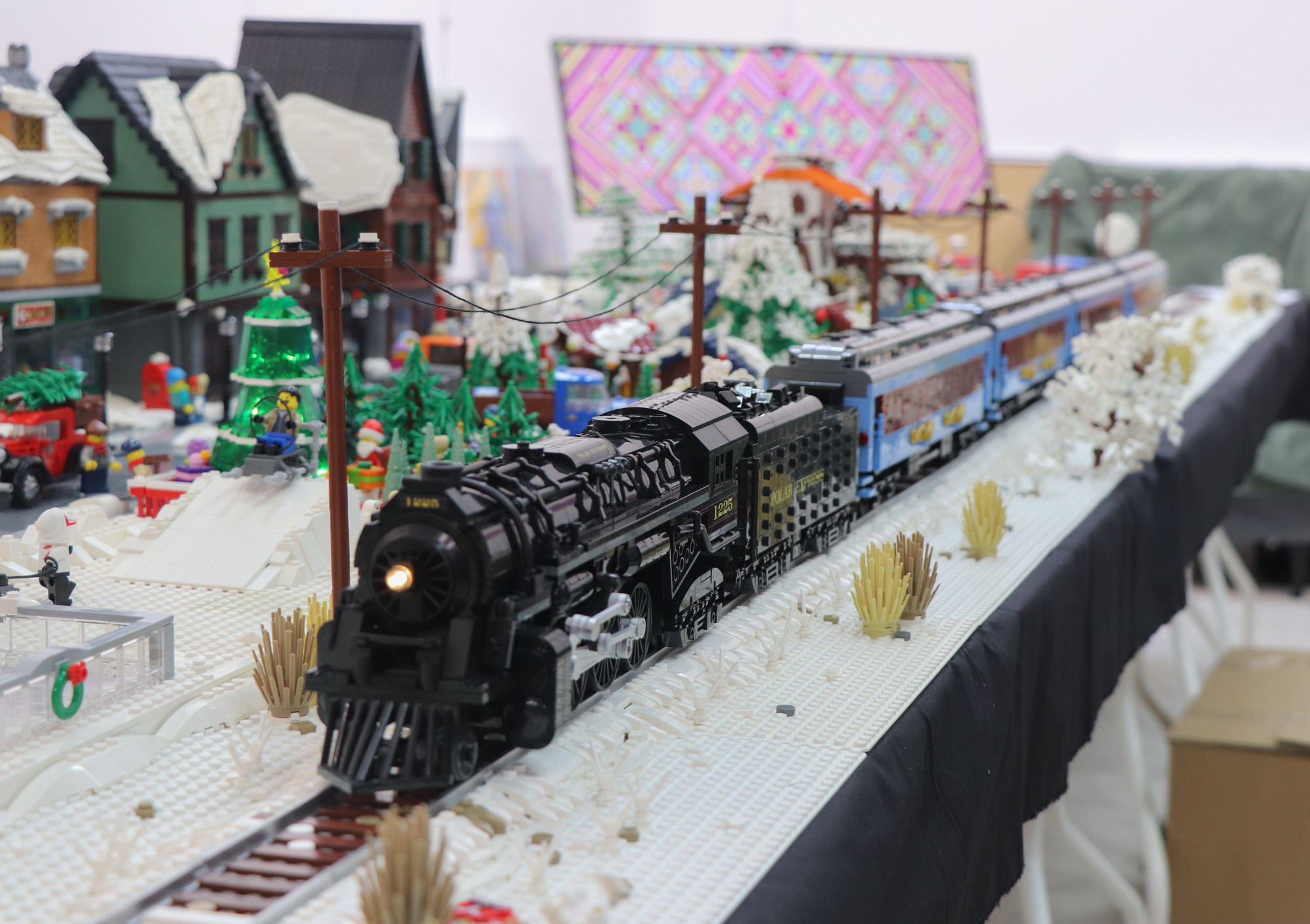img_8247cs.jpg