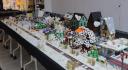 img_7922cs.jpg