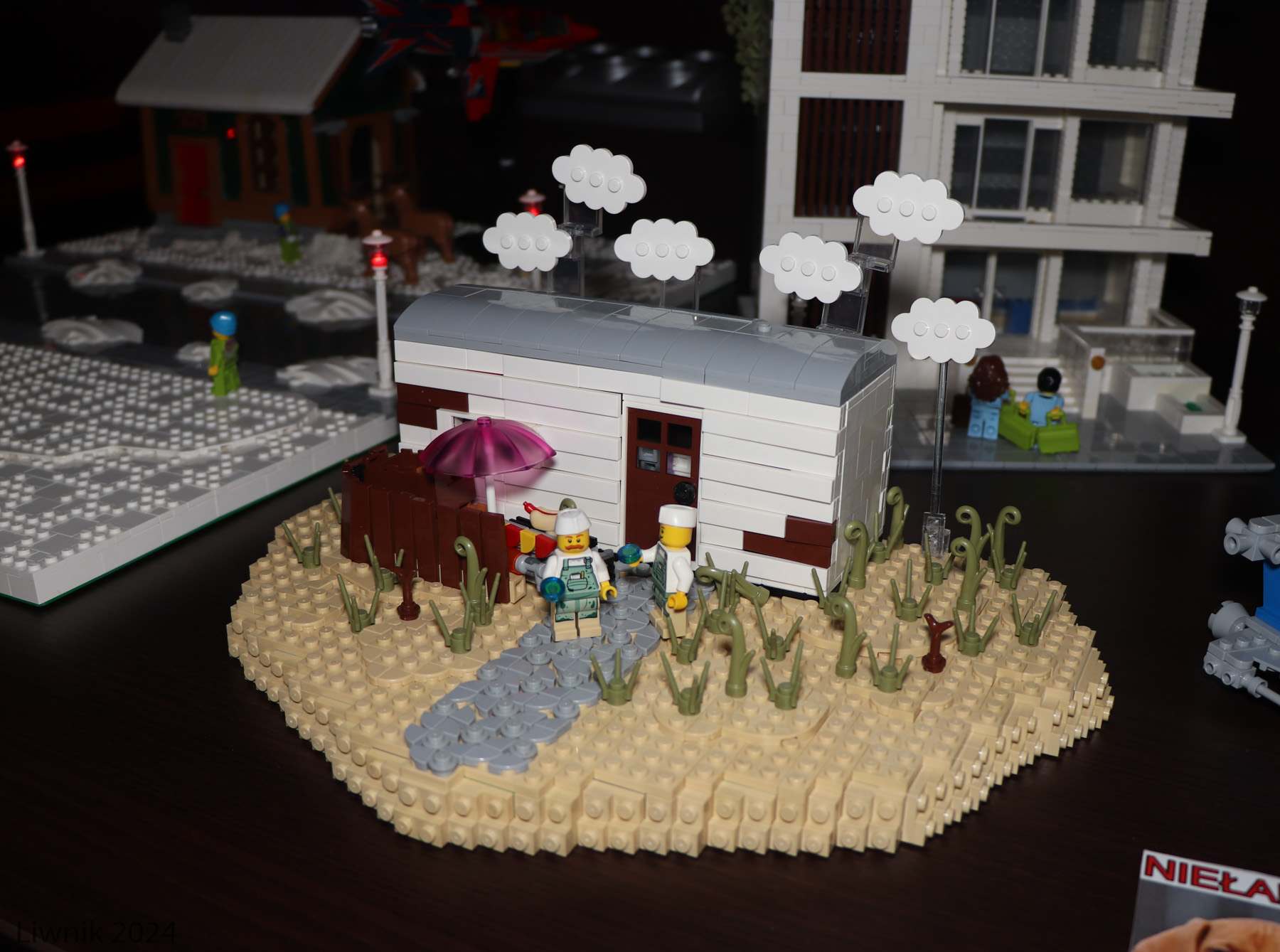 img_8435cs.jpg
