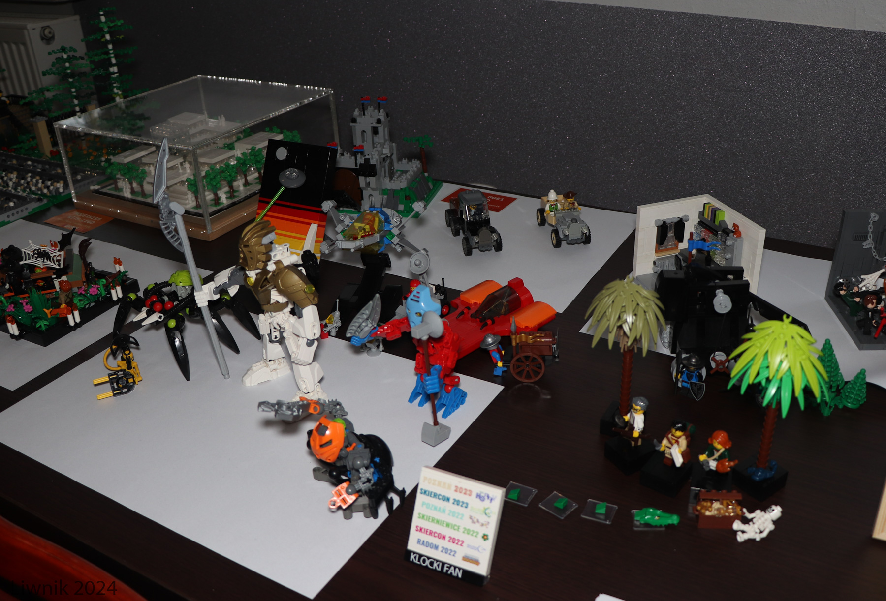 img_8451cs.jpg