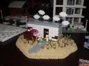 img_8435cs.jpg