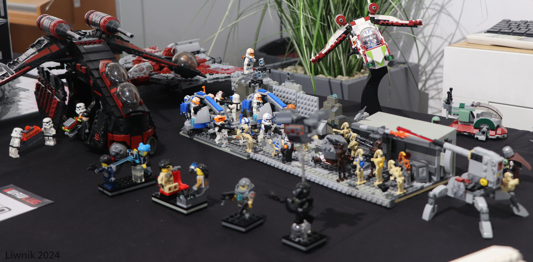 sw-img_1828cs.jpg