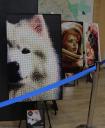 m-img_2701cs.jpg