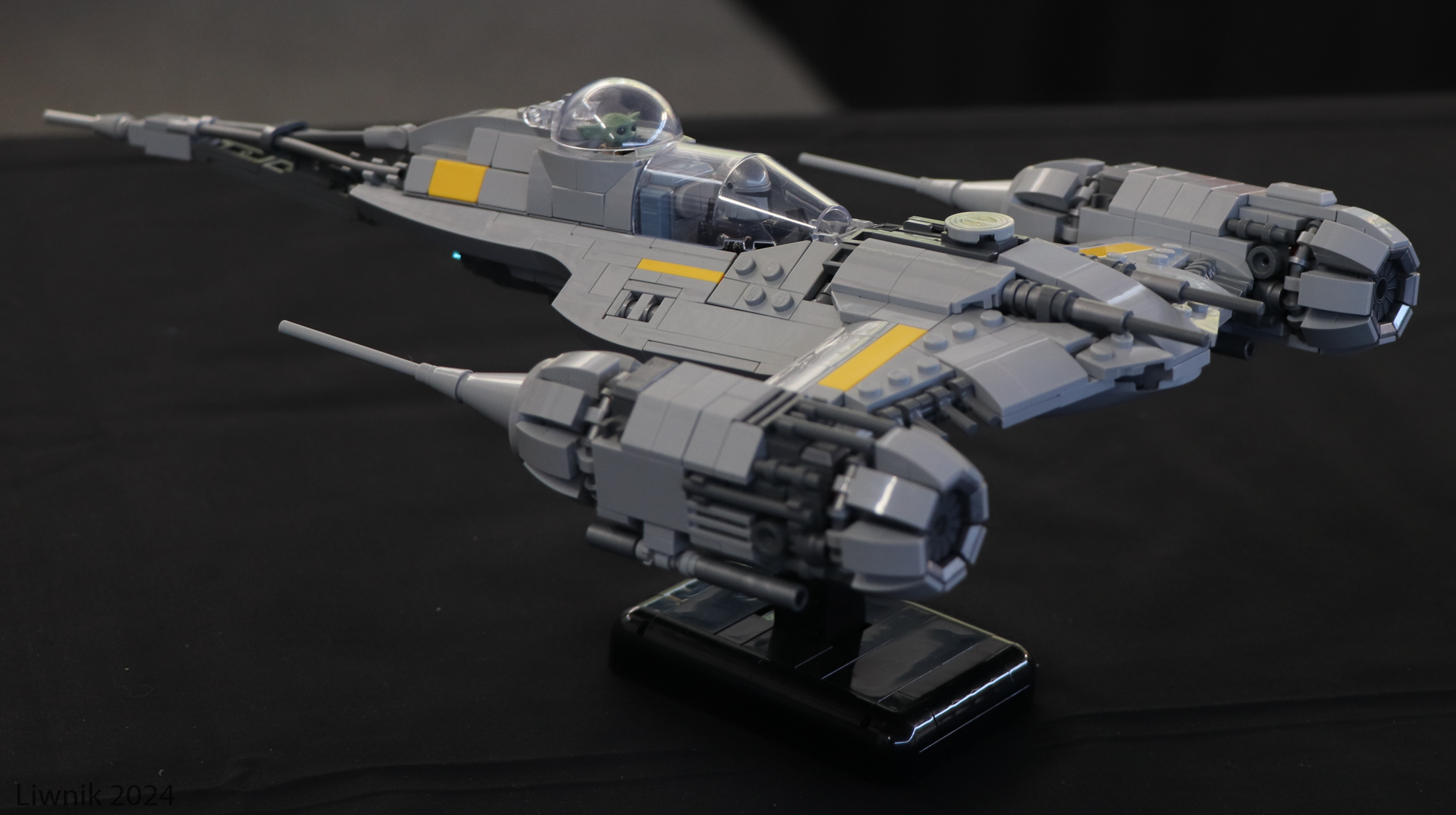 sw-img_3614cs.jpg