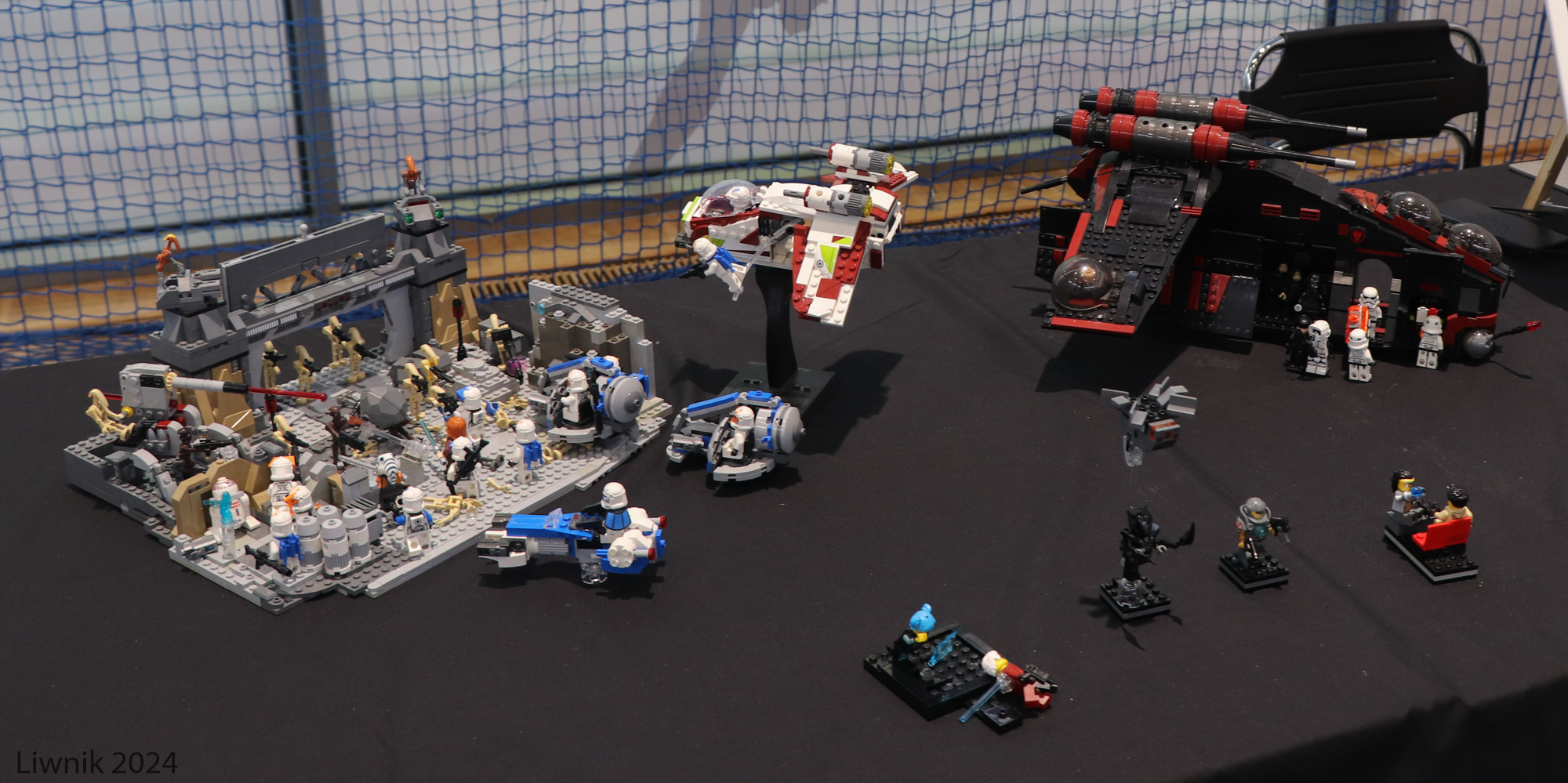 sw-img_3676cs.jpg