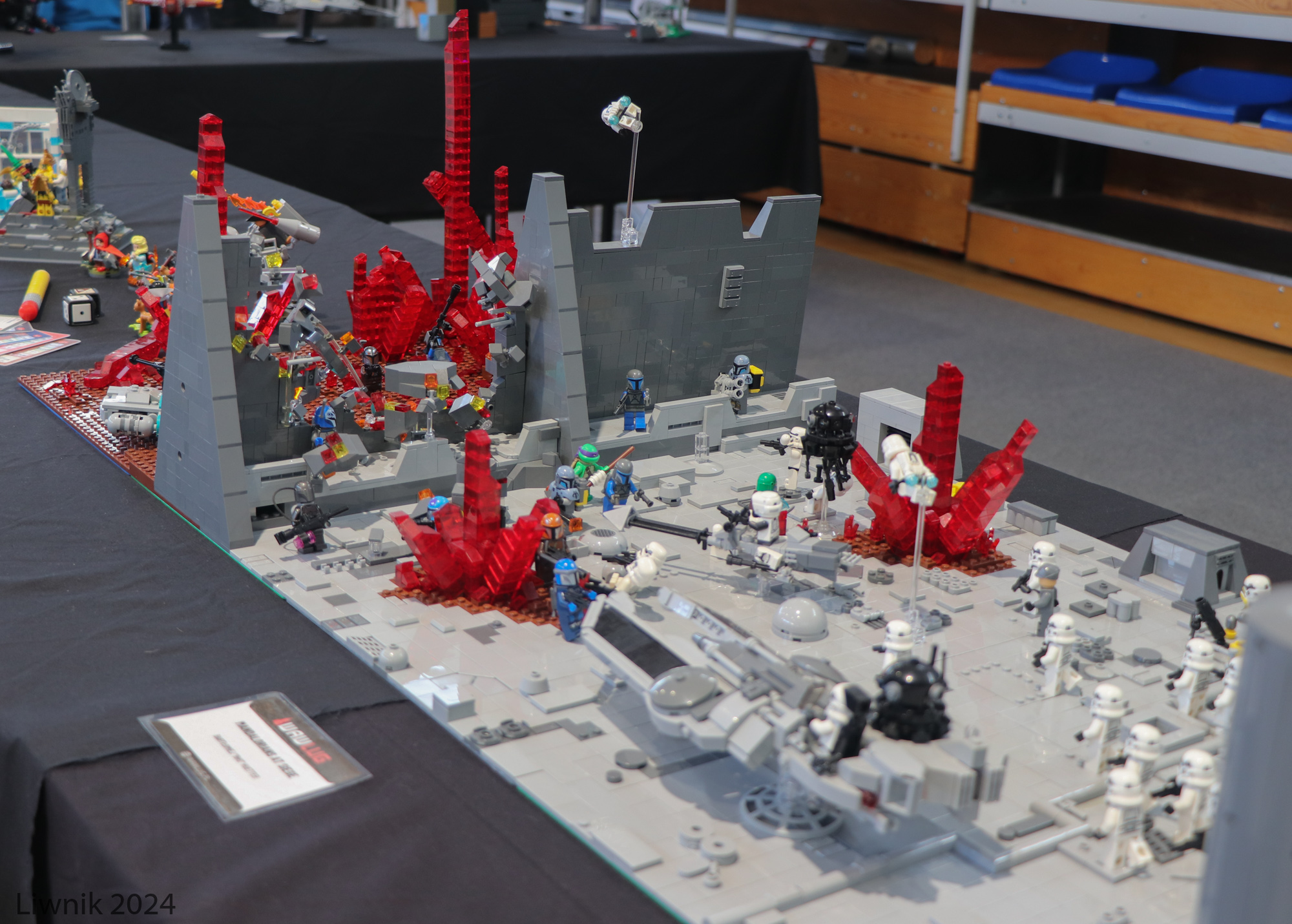 sw-img_3688cs.jpg