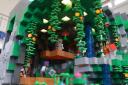 mi-img_3732cs.jpg
