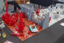 sw-img_3691cs.jpg