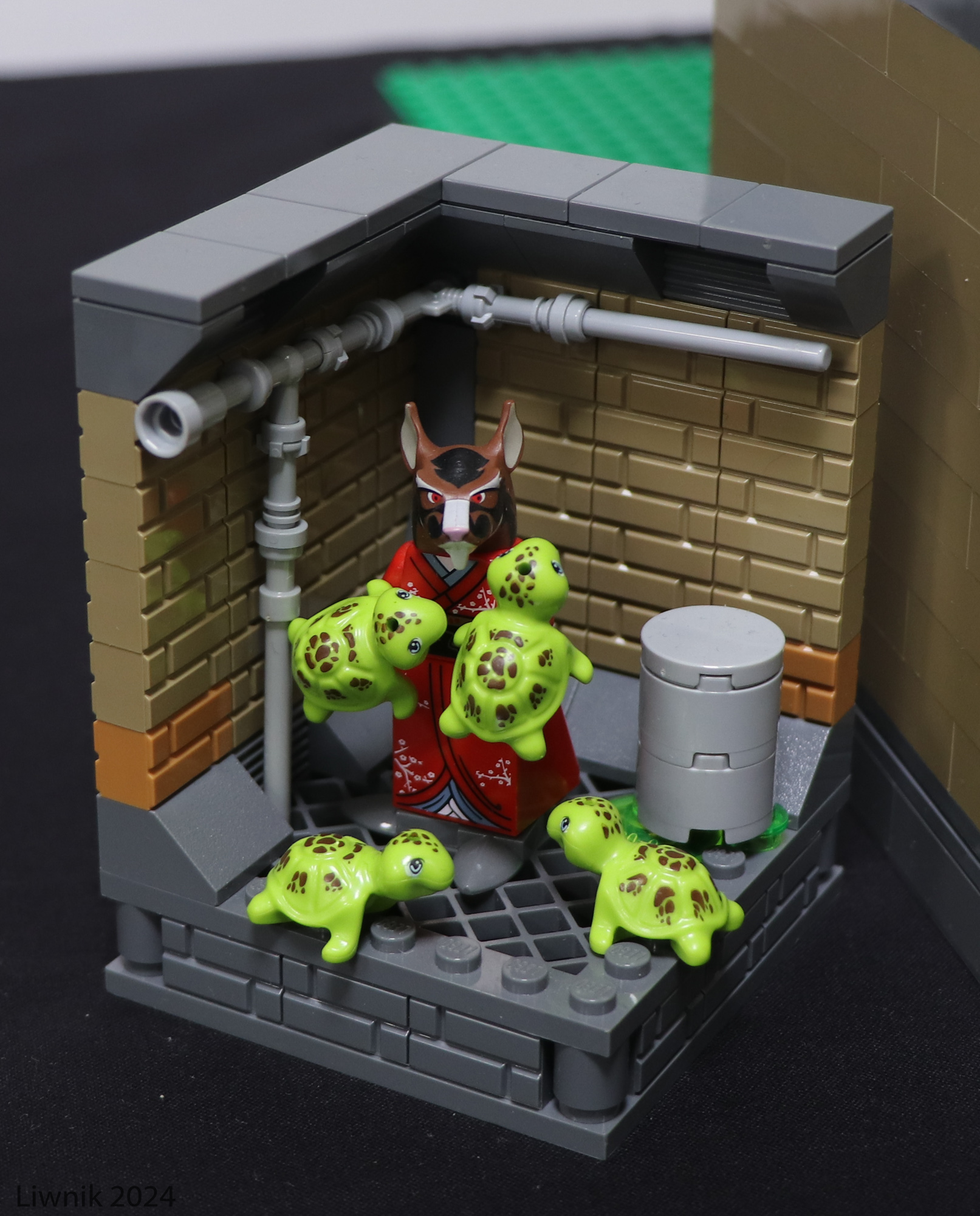img_4289cs.jpg
