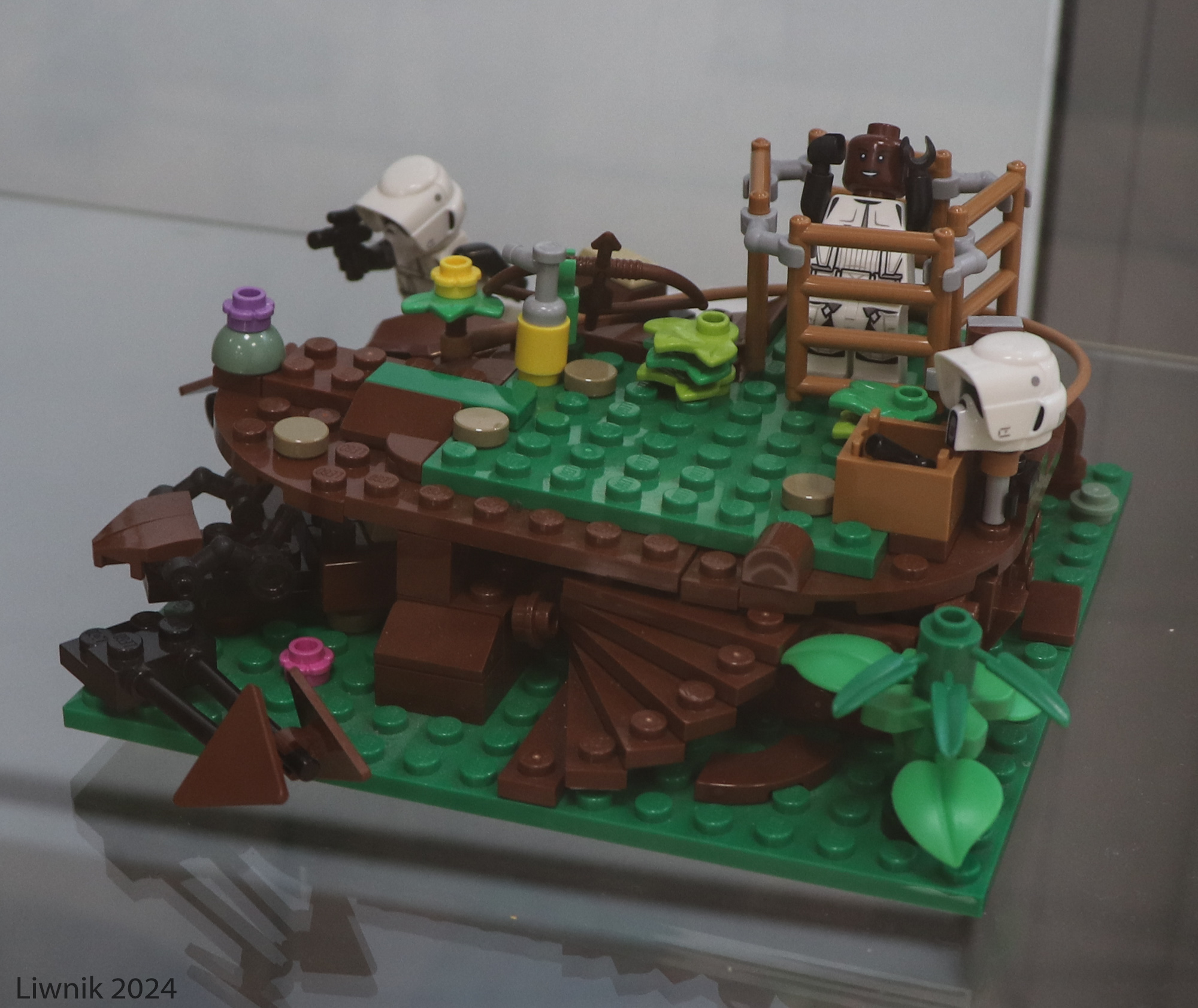 img_4341cs.jpg