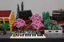 a-img_4084cs.jpg