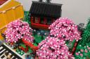 a-img_4249cs.jpg
