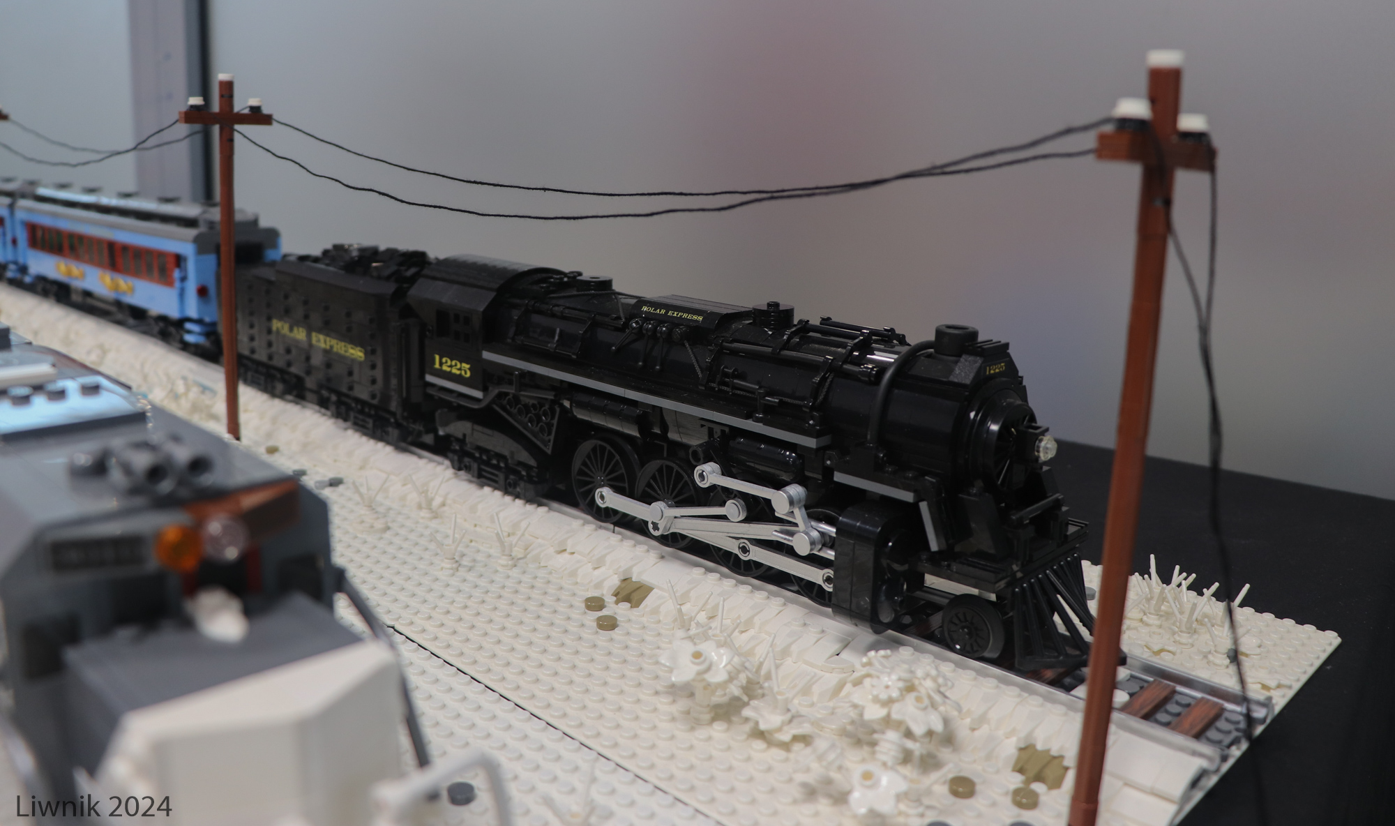 tr1-img_4320cs.jpg