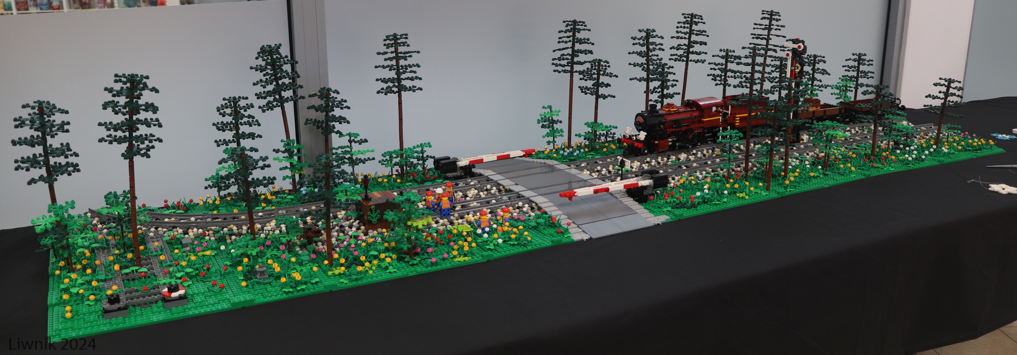 tr2-img_4130cs.jpg